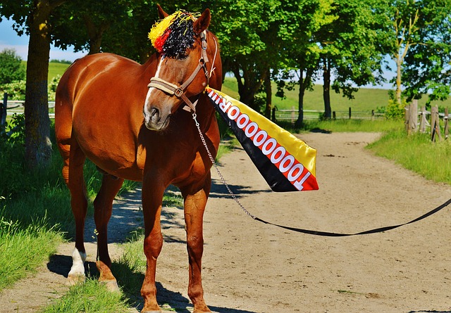 往能夠顯著 往能夠顯著