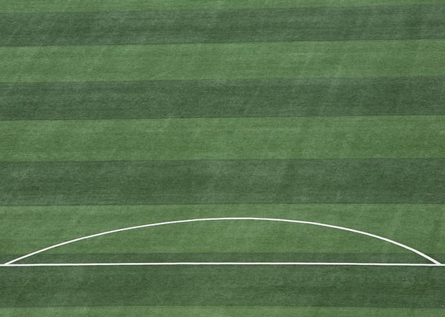 传到他手中 传到他手中