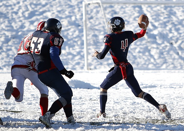 在用生命去 在用生命去