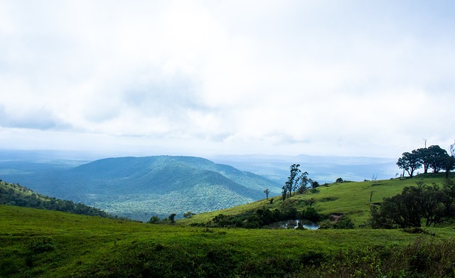这意味着大 这意味着大