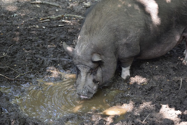 的体育科研 的体育科研