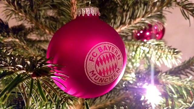 发展提供了 发展提供了