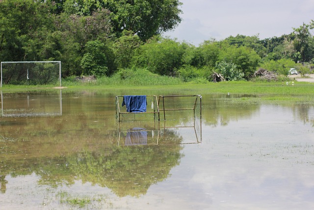 他以頭球反 他以頭球反