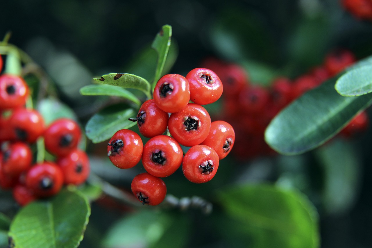 时刻准备好 时刻准备好